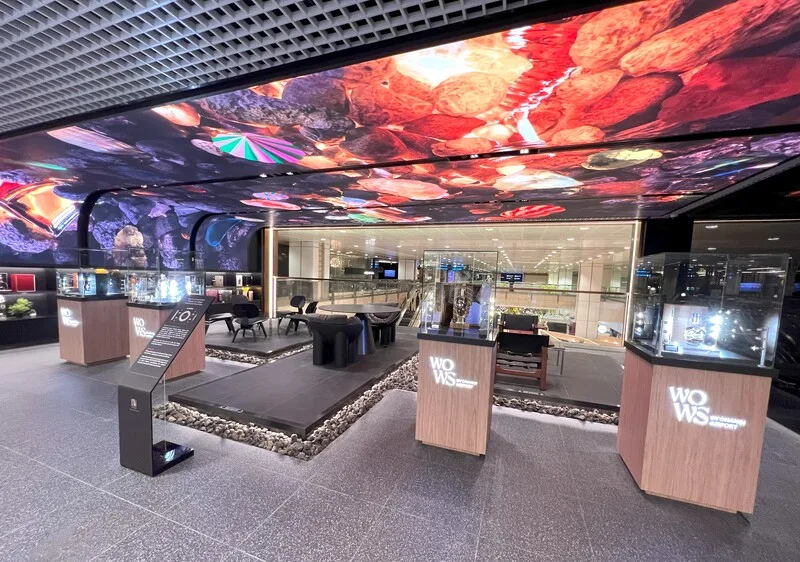 Lotte Duty Free, Changi T2 — WOWS(World of Wines & Spirits)